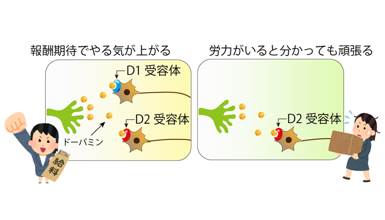 ティーズ Tis 介護医療福祉の総合サイト