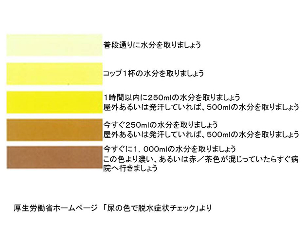 ティーズ Tis 介護医療福祉の総合サイト ティーズ Tis 介護医療福祉の総合サイト