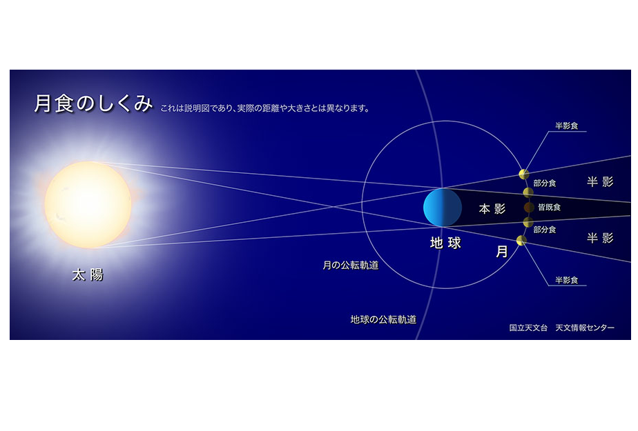 ティーズ Tis 介護医療福祉の総合サイト