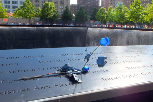 ティーズ（TIS）｜アメリカ同時多発テロの発生から23年