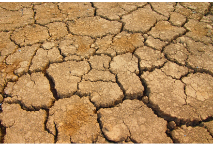 ティーズ（TIS）｜介護医療福祉の総合サイト